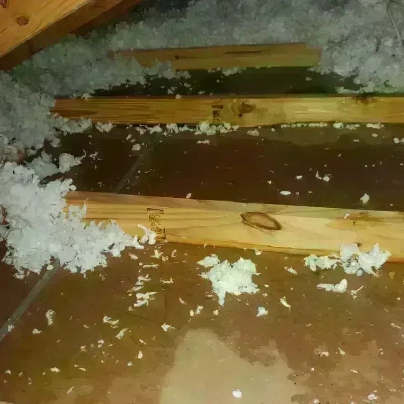 Attic Water Damage in Villages of Oriole, FL